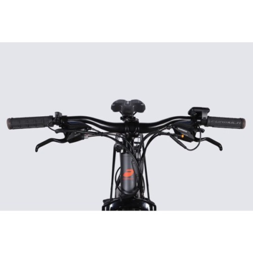 Електровелосипед Formula 29" eMOTION PLUS DD FR рама-19" 48B 15А*г 500Вт 2026 сіро-сріблястий (ELB-FR-29-261)