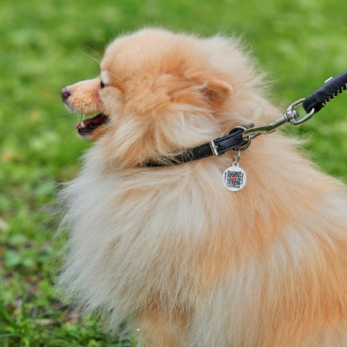 Нашийник для тварин WAUDOG Soft з QR паспортом круглий Д 10 мм Д 33-41 см чорний (00391)