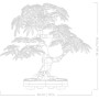 Конструктор LEGO Botanicals Бонсай з японського червоного клена (10348)