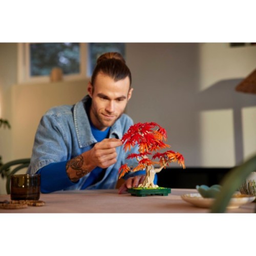 Конструктор LEGO Botanicals Бонсай з японського червоного клена (10348)