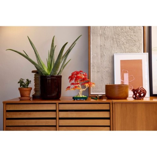 Конструктор LEGO Botanicals Бонсай з японського червоного клена (10348)