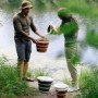 Відро складане Tribe Water Bucket 10 л olive (T-FJ-0048-olive)