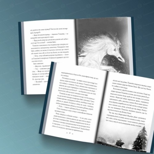 Книга Чудодійні кондитери. Морозяний Ярмарок. Книга 1 - Наташа Гастінгс Жорж (9786178023782)