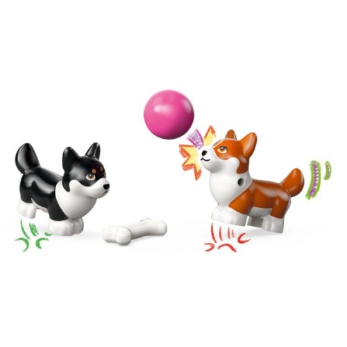 Конструктор LEGO Friends Собачі пригоди на серфі та скутері (42641)