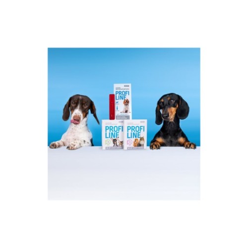 Нашийник для тварин ProVET Profiline інсектоакарицид 35 см фуксія (4823082430956)