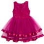 Плаття дитяче Breeze з фатіновой спідницею (14502-134G-fucsia)