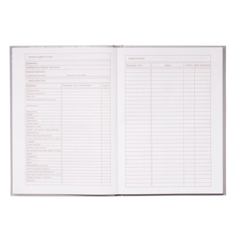 Щоденник шкільний ZiBi ICE CREAM В5 48 аркушів (ZB.13811)