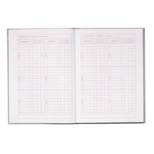 Щоденник шкільний ZiBi ICE CREAM В5 48 аркушів (ZB.13811)