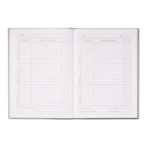 Щоденник шкільний ZiBi ICE CREAM В5 48 аркушів (ZB.13811)