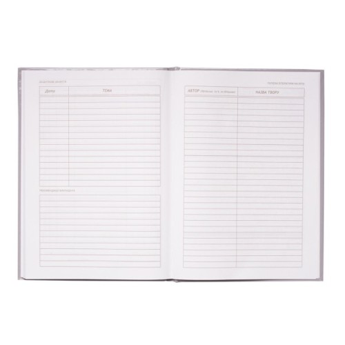 Щоденник шкільний ZiBi ICE CREAM В5 48 аркушів (ZB.13811)