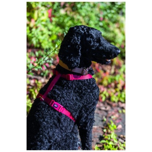 Шлея для собак Trixie Premium S-M червона (4011905203331)