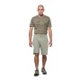 Шорти Salewa Fanes Hemp Light Shotrs Mns 29086 5130 - 48/M - світло-сірий (013.012.1267)
