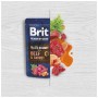 Вологий корм для собак Brit Premium Fillets in Gravy Multipack для малих порід філе в соусі Мультипак 12 шт х 85 г (8595602572472)