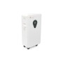 Батарея LiFePo4 FelicityESS FLA48314-EU 48v 314Ah,16kW (FLA48314-EU)